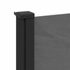 vidaXL Ausziehbare Seitenmarkise Anthrazit 100x500 cm