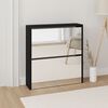 vidaXL Schuhschrank mit Spiegel 2 F&auml;cher Schwarz 63x17x67 cm