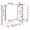vidaXL Spiegelschrank Braun Eichen-Optik 59 x 17 x 55 cm Holzwerkstoff