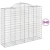 vidaXL Gabionen mit Hochbogen 40Stk. 200x50x160/180cm Verzinktes Eisen