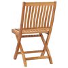 vidaXL Klappbare Gartenst&uuml;hle 8 Stk. Massivholz Teak
