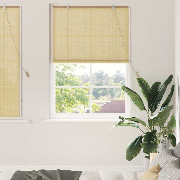 vidaXL Rollo mit Vorh&auml;ngen Natur 100 x 160 cm Bambus