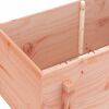 vidaXL Hochbeet 101x50x57 cm Massivholz Douglasie