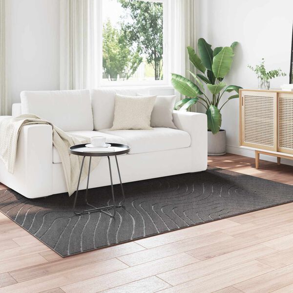 vidaXL Bereichsteppiche Rechtwinklig Anthrazit 170 x 120 cm