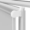 vidaXL Verdunkelungsrollo Hellgrau 165x150cm Stoffbreite 161,6cm