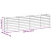 vidaXL Garten-Hochbeet 320x40x77 cm Verzinkter Stahl Silber