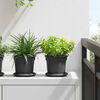 vidaXL Runder Blumentopf 24 pcs Schwarz &Oslash; 15 x 12 cm Kunststoff