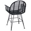 vidaXL Esszimmerstuhl 2 pcs Schwarz 44 x 44 x 74 cm Rattan und Eisen