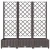 vidaXL Garten-Pflanzgefäß mit Spalier Braun 120 x 40 x 121,5 cm PP