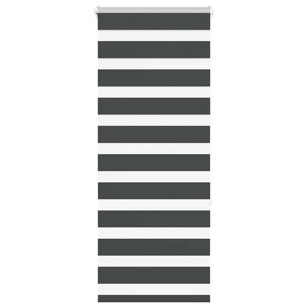 vidaXL Doppelrollo Schwarz 55x150 cm Stoffbreite 50,9 cm Polyester