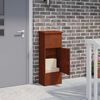 vidaXL Paketdrop-Box Rostig 44,5 x 29 x 110,5 cm Wetterfeststahl