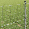vidaXL Eurozaun 1 x 10 m PVC-beschichtetes Eisen