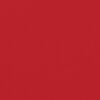 vidaXL Seitenmarkise Ausziehbar Rot 200x1200 cm