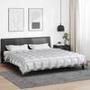 vidaXL Winterbettdecke Silber 220 x 200 cm Satin und Mikrofaser