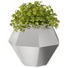 Produkt-Miniaturbild 3 von 12