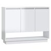 High_gloss_white