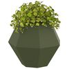 vidaXL Pflanzk&uuml;bel Olive Gr&uuml;n 50 x 50 x 40 cm Stahl
