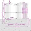 vidaXL Gartenzaun Woerden Grau 240 x 215 cm Pulverbeschichteter Stahl
