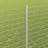 vidaXL Zaunpfosten 11 pcs Silber 160 cm Stahl