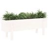 vidaXL Hochbeet Wei&szlig; 101x30x38 cm Massivholz Kiefer