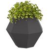 Produkt-Miniaturbild 3 von 10