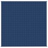 vidaXL Gewichtsdecke Blau 200x200 cm 9 kg Stoff