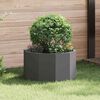 vidaXL Pflanzk&uuml;bel Schwarz 60 x 60 x 35 cm Stahl