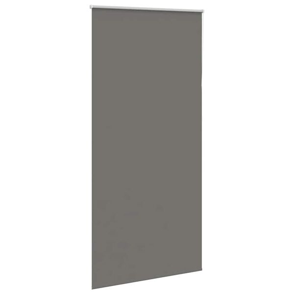vidaXL Verdunkelungsrollo Grau 100x210cm Stoffbreite 95,7 cm Polyester