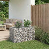 vidaXL Gabionen Hochbeet Silber 100 x 60 x 55 cm Verzinkter Stahl