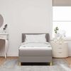 vidaXL Boxspringbett mit Matratze Taupe 200 x 100 cm Polyester