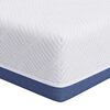 vidaXL Matratze Wei&szlig; und Blau 80 x 160 cm Jacquard-Stoff