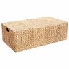 vidaXL Aufbewahrungsbox Natur 60 x 38 x 20 cm Wasserhyazinthe