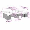 vidaXL Gartensofa-set mit Speicher 11 pcs Hellgrau Poly-Rattan