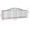 vidaXL Gabionen mit Hochbogen 25 Stk. 200x50x60/80 cm Verzinktes Eisen