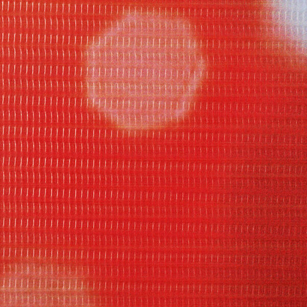 vidaXL Raumteiler klappbar 200 x 170 cm Rose Rot