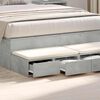 vidaXL Bettschubladen Beton Grau 120 x 36,5 x 16,5 cm Holzwerkstoff