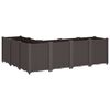 vidaXL Pflanzk&uuml;bel Braun 160x120x53 cm PP