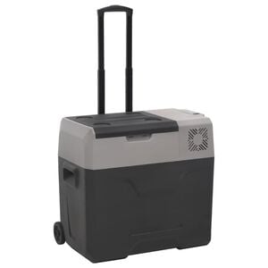 vidaXL K&uuml;hlbox mit Rollen und Griff Schwarz & Grau 30 L Polypropylen