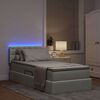 vidaXL Bett mit Stauraum und LED mit LED Hellgrau 100 x 200 cm Samt