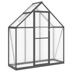 vidaXL Gew&auml;chshaus mit Fundamentrahmen Anthrazit 169x58x195 cm Alu