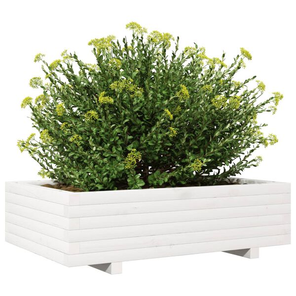 vidaXL Pflanzk&uuml;bel Wei&szlig; 90x60x26,5 cm Massivholz Kiefer