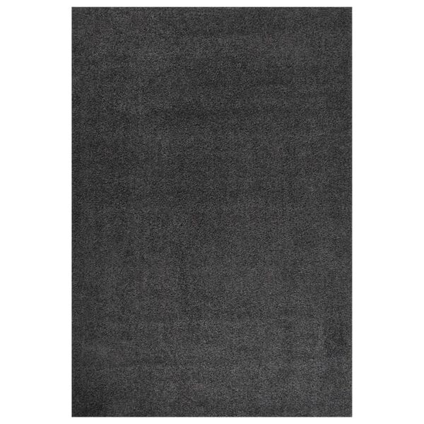 vidaXL Teppich Shaggy Hochflor Anthrazit 160x230 cm