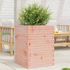 vidaXL Pflanzk&uuml;bel 50x50x68,5 cm Massivholz Douglasie