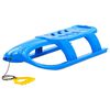 vidaXL Schlitten f&uuml;r Kinder Blau 102,5x40x23 cm Polypropylen