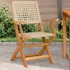 vidaXL Gartenst&uuml;hle 2 Stk. Beige Massivholz Akazie und Poly Rattan