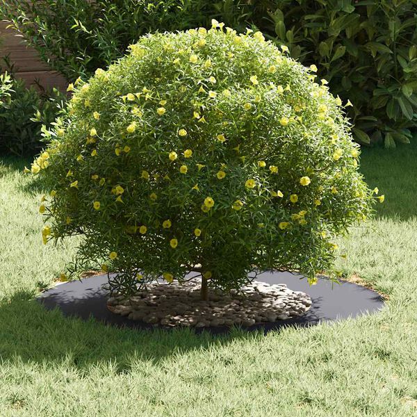 vidaXL geeignet f&uuml;r flache Baumringe 5 pcs Anthrazit &Oslash;40 / 70 cm Stahl