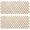 vidaXL Erweiterbares Spalierzaun 2 Stk. 100 x 105 cm Bambus Hellbraun