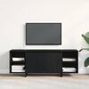 vidaXL TV-Schr&auml;nk Schwarz Eichen-Optik 120 x 30 x 40,5 cm