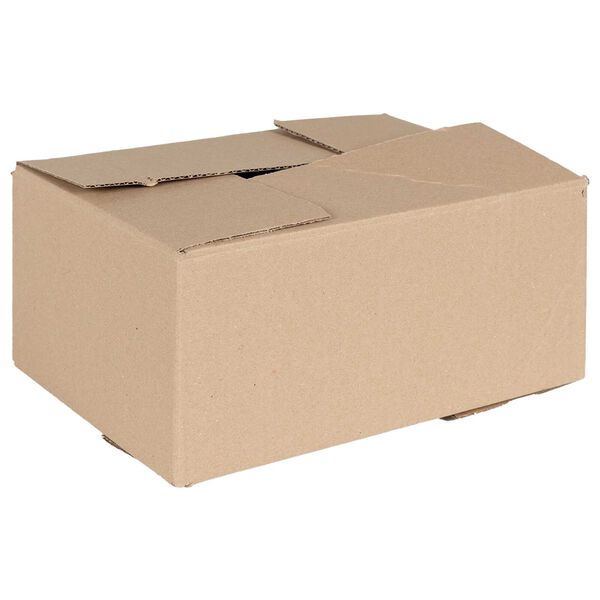 vidaXL Faltbox mit Speicher 50 pcs Natur 30 x 21,5 x 14 cm Karton