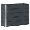vidaXL Pflanzk&uuml;bel Anthrazit 100 x 40 x 75 cm Stahl